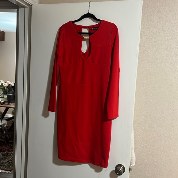 Red Bodycon Dress with gold detail - Picture 1 of 4